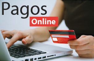Pagos Online