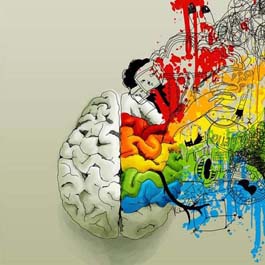 KOE Chile ciencia: El cerebro crece al aprender inglés